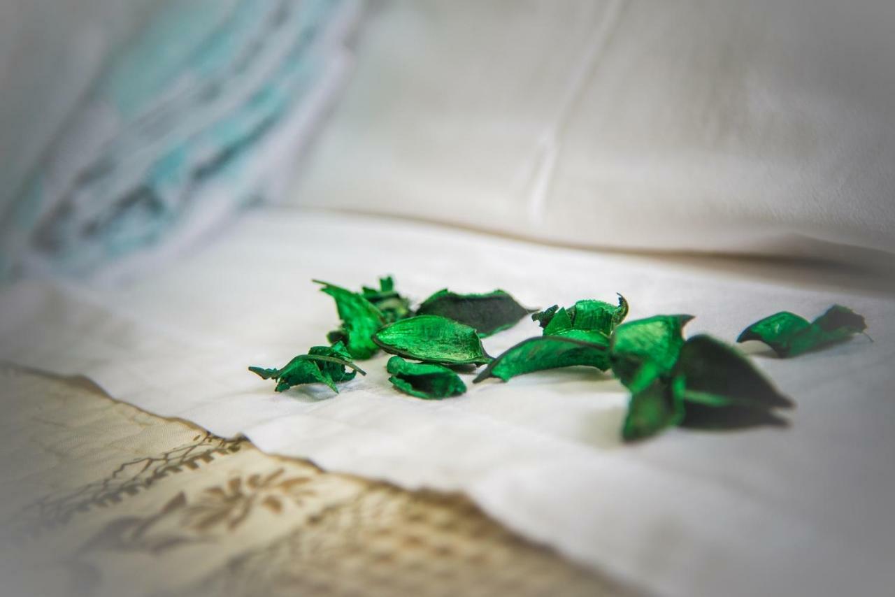 Adria Bella Locazione Turistica Bed & Breakfast エクステリア 写真